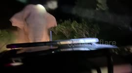 Angry wild elephant blocking road rams wildlife ranger's car with its tusks