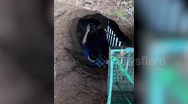 Caring locals save stray dog stuck in deep drainage pit