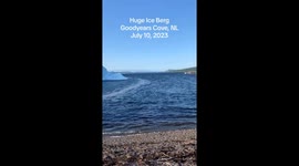 Iceberg In Goodyears Cove