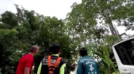 Volunteers climb 52ft tree to rescue pet cat stuck on branch