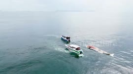 Bloated Bryde's whale carcass found floating off Thai island coast