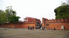 Spiraling pigeon population sparks bird flu fears at popular tourist spot in north Thailand