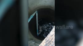 Exhausted kitten struggling to stay afloat on bottom of filthy well rescued