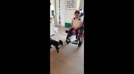 Little girl with Muscular Dystrophy trains her small poodle to retrieve different items for her 5