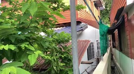 Monitor lizard crawls over roof of family's home in Thailand