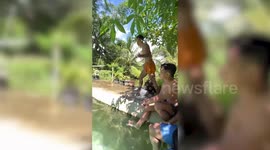 Teenager falls into pool in amusing cartwheel showdown fail