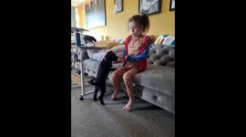 Little poodle helps her young owner take her clothes off 3
