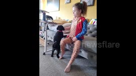 Rescued poodle becomes lifeline for British girl affected by Muscular Dystrophy