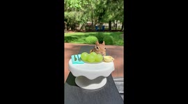 Chipmunk Has Lovely Patio Lunch