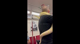 Man Takes Pet Snake On Toronto Train