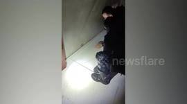 Fugitive caught hiding under false floor at home in Brazil