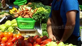 Agri-food market Inauguration in Bucharest, Romania