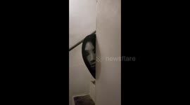 Face Cutout Causes Scare
