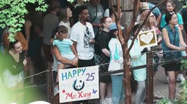 Giant panda Mei Xiang's 25th birthday celebrated at U.S. zoo