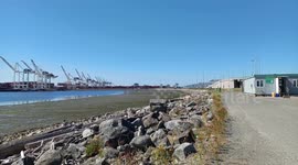 Port Workers Strike Continues in Delta, BC, Canada