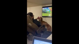 Limited Edition Golden Retriever Controller