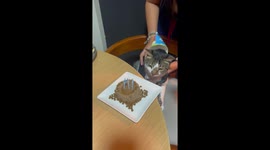 Birthday Cat Gets Cake to the Face