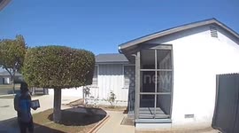 Amazon Delivery Driver Goes for a Swim