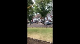 Linked to alum rock inicident was shooting before stabbing and mass brawl