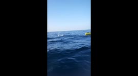 Kayak angler catches huge sailfish near Miami!