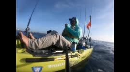 Kayak angler catches huge sailfish near Miami!