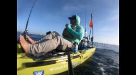 Angler catches HUGE sailfish while kayaking near Miami