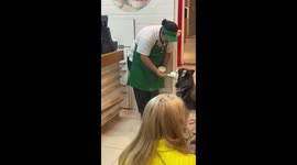Cute moment yogurt shop employee gives delicious treat to husky
