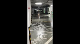 Slippery shenanigans: Fatty the dog's hilarious underground parking adventure!