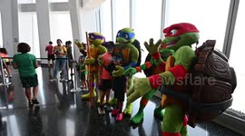 Teenage Mutant Ninja Turtles Surprise Meet in New York, USA