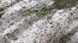 US: Warning Issued As Powerful Storm Sweeps Through Twin Cities, MN 3