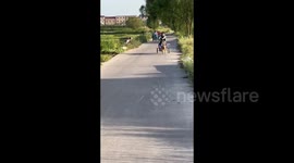 Dog Cart and Its Owner Fell into A Ditch in Anhui province, China
