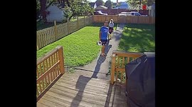 Woman goes into full panic mode during encounter with angry crow