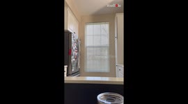 Man's raw & authentic reaction to finding out his wife is pregnant is ridiculously cute