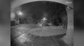 Couple get rude awakening in early hours of morning - from a SPIDER