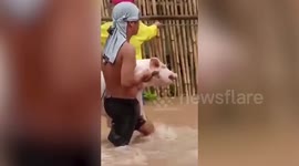 Residents carry livestock as super typhoon Doksuri floods village in Philippines