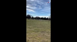 Confident young rider sent flying onto the ground after his pony kept horsing around