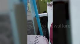 Massive monitor lizard caught on terrified family's porch in Thailand