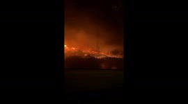 Wildfires force temporary shutdown of Palermo Airport in Sicily, Italy