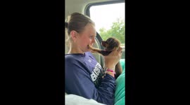 Girl Eaten By Vicious Puppy