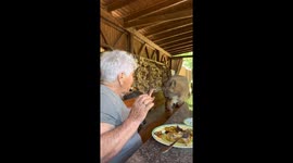 Ageless bonds: heartwarming dinner with grandma and her furry companion