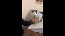 My Tutor Has Very a Odd Teaching Technique