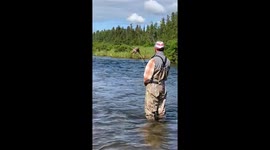Fishermen Catch Bear's Attention