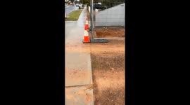 Bizarre scene as water gushes out of TREE TRUNK in Australia