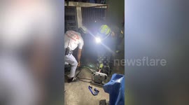 Rescue crew free pet dog stuck in fence while chasing chicken