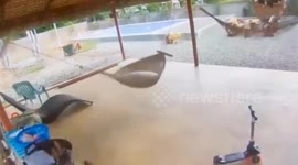 Hammocks sway as Super Typhoon Doksuri lashes the Philippines