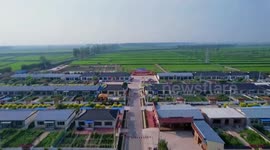 Int'l students witness rural revitalization in NE China