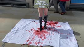 Vegan activists and PETA stage 'bloody' protest outside Hermes store over crocodile skin usage