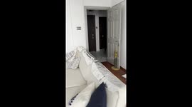 Cat Discovers Aluminum Foil