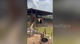 Play time! Thousands of ducks flood from roost into pond