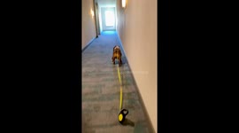 Silent expectations: a comical tale of leash mishaps and unspoken desires